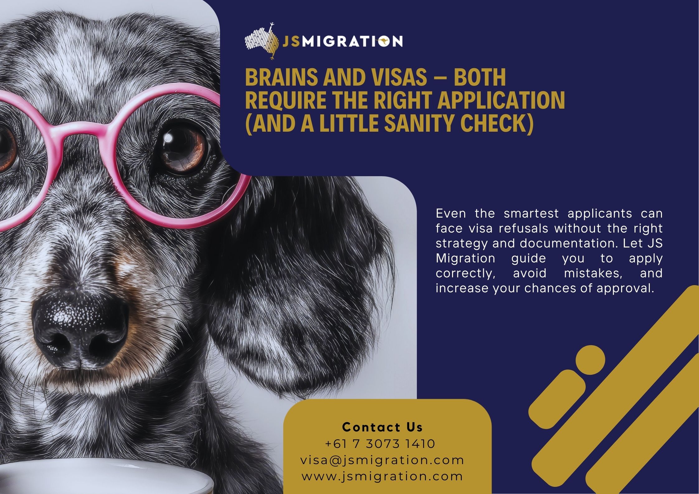 Brains and Visas – Both Require the Right Application (and a Little Sanity Check)